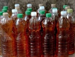 Wajib Diketahui! Ini 4 Bahaya Mengonsumsi Masakan yang Menggunakan Minyak Jelantah Bagi Kesehatan Tubuh