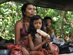 Mengenal Ciri Khas Suku Kubu, Suku yang Hidup di Pedalaman Jambi