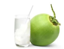 Berikut Ini 5 Kondisi Kesehatan yang Bisa Diatasi dengan Air Kelapa Muda