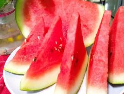 Ketahui! Ini 8 Manfaat Buah Semangka untuk Kesehatan Tubuh, Salah Satunya Bisa Mencegah Dehidrasi