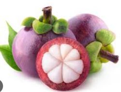 7 Manfaat Buah Manggis untuk Kesehatan Tubuh, Mulai Dari Mengontrol Gula Darah Hingga Kanker