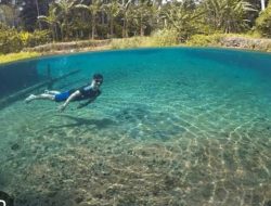 Cocok Buat Healing! Ini 7 Tempat Wisata Populer di Tanggamus Lampung
