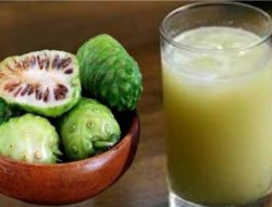 Ketahui! Inilah 5 Khasiat Buah Mengkudu untuk Kesehatan Tubuh