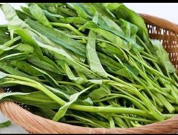 5 Manfaat Kangkung untuk Kesehatan Tubuh, Salah Satunya Bisa Menurunkan Tekanan Darah
