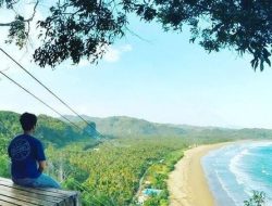 Wisata Pantai Taman Pacitan Jadi Destinasi Wisata Edukasi Soal Penyu