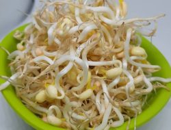 Belum Banyak yang Tahu! Ini 6 Manfaat Kecamabah untuk Kesehatan Tubuh