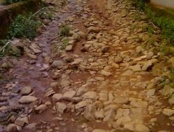 Lama Rusak, Warga Harapkan Pembangunan Jalan Lingkungan
