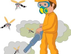 Berantas Nyamuk DBD, Puskesmas Rantau Tijang Lakukan Fogging