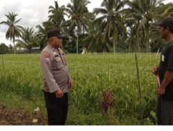 Dukung Program Ketahanan Pangan, Bhabinkamtibmas Polsek Sumberejo Giatkan Sambang DDS