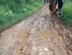 Lapor Pak Bupati! Ruas Jalan Pekon Tanjung Jaya Masih Tanah Butuh Pengaspalan