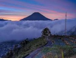 Dijamin Menyenangkan! Inilah 5 Destinasi Wisata di Kabupaten Wonosobo, Cocok untuk Liburan Keluarga
