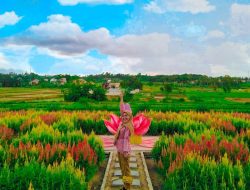 Wisata Taman Asmoro Jati Agung Lampung Selatan, Suguhkan Hampran Taman Bunga Cantik yang Memikat Wisatawan