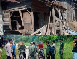 7 Gubuk Warga di Tanggamus Kembali Dirusak Kawanan Gajah, Petugas Kehabisan Amunisi Petasan