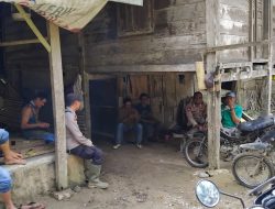 Polsek Semaka Bersama Tim Gabungan Giring Gajah Liar Kembali ke Hutan TNBBS