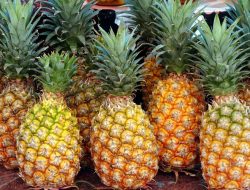 Tak Hanya Menyegarkan, ini 5 Manfaat Mengonsumsi Nanas Saat Berbuka Puasa