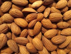Tak Cuma Lezat! ini 6 Manfaat Kacang Almond Bagi Kesehatan Tubuh