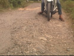 Warga Pekon Wayhalom Harapkan Pembangunan Jalan