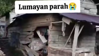 Gajah Liar di Tanggamus Kembali Ngamuk, Puluhan Rumah Rusak Berat