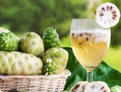 Jarang Disadari! Ini 7 Manfaat Jus Mengkudu untuk Kesehatan Tubuh