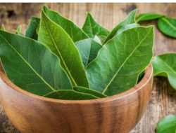 Selain Bisa Mencegah Hipertensi, Ini 5 Manfaat Daun Salam untuk Kesehatan Tubuh