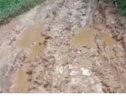 Ruas Jalan Masih Tanah, Warga Harapkan Peningkatan Pembangunan