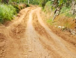 Warga Pekon Petai Kayu Harapkan Pembangunan Ruas Jalan