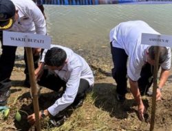Pimpin Penanaman Mangrove, Ini Pesan Wakil Bupati Tanggamus!