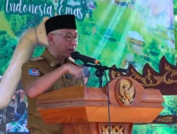 Empat Desa di Lampung Jadi Percontohan Desa Maju, Salah Satunya Ada di Kabupaten Pringsewu