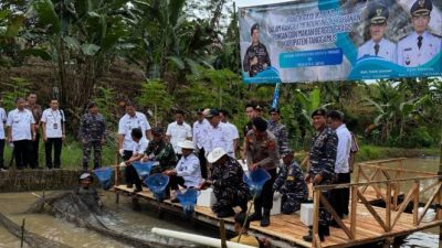 Wabup Tanggamus Panen Raya Ikan Nila, Hasil Capai 10 Ton