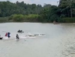 Lansia Tewas Diterkam Buaya di Sungai Way Semaka