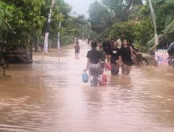 Curah Hujan Tinggi, Tanggamus “Dikepung” Banjir 