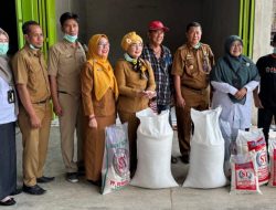 BPS dan TPID Survei Konversi Gabah jadi Beras 