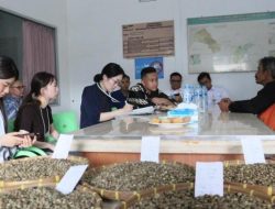 Kopi Tanggamus Diekspor ke Jepang