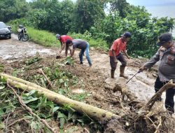 Sempat Tertimbun Longsor, Jalan Lintas Pesisir Limau-Kotaagung Mulai Bisa Dilalui