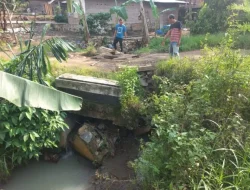 Jembatan Penghubung Antar Pekon di Pugung Ambles, Akses Warga Terancam Terputus