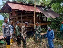 Pasca Serangan Beruang, Warga Pematangsawa Tanggamus Diimbau Tidak Beraktivitas Dikebun Sendirian