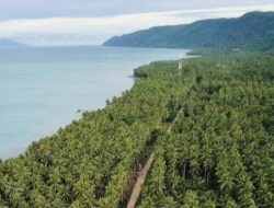Jalan Tembus ke Wilayah Selatan Pematangsawa Segera Dibangun