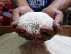Harga Beras di Lampung Masih Stabil