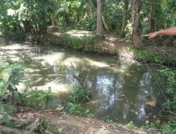 Limbah Dapur MBG di Pekon Dadimulyo Tanggamus Dikeluhkan, Warga : Sumur Saya Tercemar dan Airnya Bau Menyengat 