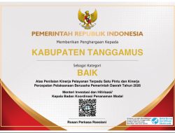 Sukses Tingkatkan Kualitas Perizinan, Pemkab Tanggamus Sabet Penghargaan dari Kementerian Investasi